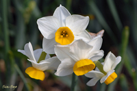 @jzXCZ iqKoiȁj@2007-02-01@