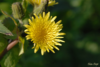 @mQVEnmQV iLNȁj@2007-02-22@