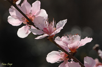 @ni ioȁj@2007-03-03@