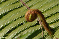 @EW iEWȁj@2007-04-01@
