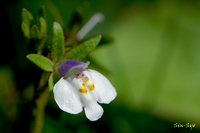 @gLn[ iS}mnOTȁj@2007-05-05@