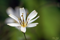 @VoijKi iLNȁj@2007-05-12@