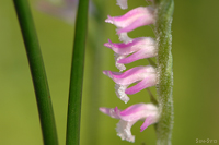@lWoi iȁj@2007-06-30@