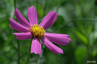 @RXX iLNȁj@2007-07-26@