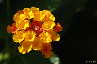 @^i iN}cdȁj@2007-08-14@