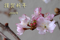 @JUN ioȁj@2008-01-02@