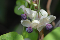 @APr iAPrȁj@2008-04-12@