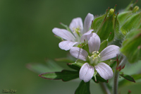 @AJtE itE\Eȁj@2008-05-11@