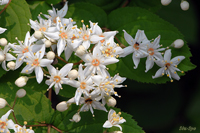 @}oEcM iLmV^ȁj@2008-06-02@