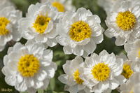 @niJUV iLNȁj@2010-03-02@