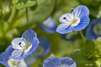 @IICkmtO iS}mnOTȁj@2010-03-15@
