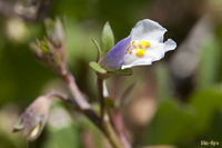 @gLn[ iS}mnOTȁj@2010-03-21@