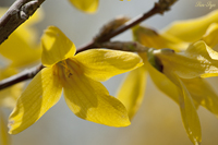 @`EZME iNZCȁj@2010-03-28@