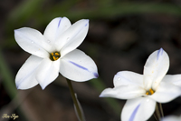 @nij iȁj@2010-04-07@