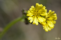 @Ij^rR iLNȁj@2010-04-22@
