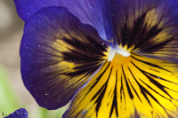 @pW[ iX~ȁj@2010-05-01@