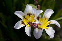 @XpLVX iAȁj@2010-05-02@