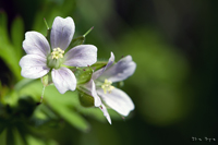 @AJtE itE\Eȁj@2010-05-30@