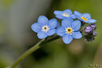 @XiOT iTLȁj@2010-06-21@