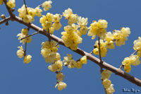 @\VEoC iEoCȁj@2011-02-24@