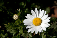 @m[X|[ iLNȁj@2011-02-27@