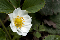 @C`Sioȁj@2011-04-16@