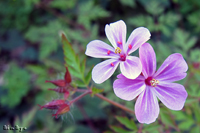 @qtE itE\Eȁj@2011-05-05@