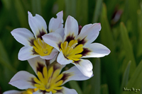 @XpLVX iAȁj@2011-05-08@