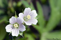 @AJtE itE\Eȁj@2011-05-13@