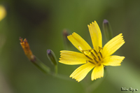 @jKi iLNȁj@2011-05-19@
