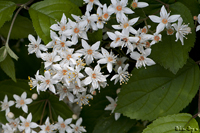 @}oEcM iLmV^ȁj@2011-05-22@