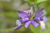 @qnM iqnMȁj@2011-05-27@