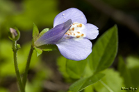 @TMSP iS}mnOTȁj@2011-05-28@