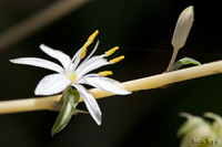 @Id iȁj@2011-07-12@