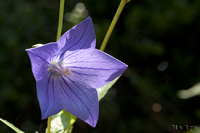 @LLE iLLEȁj@2011-07-16@