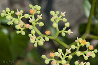@uKV iuhEȁj@2011-07-23@