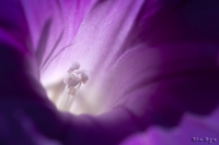 @ATKI iqKIȁj@2011-07-29@