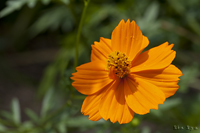 @LoiRXX iLNȁj@2011-08-01@
