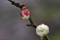 @E ioȁj@2012-02-22@