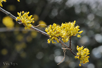 @TV i~YLȁj@2012-03-26@