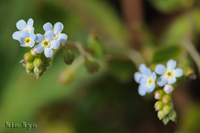 @LEOT iTLȁj@2012-04-08@