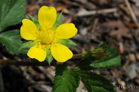 @wrC`S ioȁj@2012-05-09@