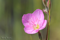 @AJoiQVE iAJoiȁj@2012-05-28@