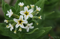 @XirL\E iTLȁj@2012-06-02@