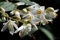 @EmnimEcMniLmV^ȁj2012-06-04@