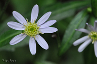 @VWMNiLNȁj2012-06-16@