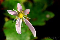 @_CW\EiLmV^ȁj@2012-12-01@