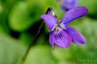 @jICX~iX~ȁj@2012-12-26@
