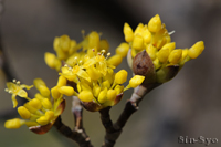 @TV i~YLȁj@2013-03-12@