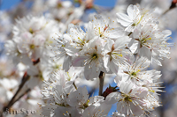 @J~UN ioȁj@2013-03-18@
